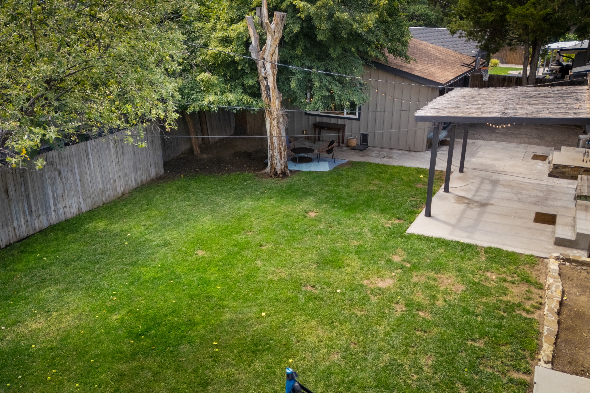 Backyard approach with detached studio and outdoor living